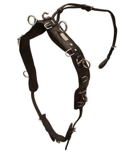 Globus treeningsedelgas